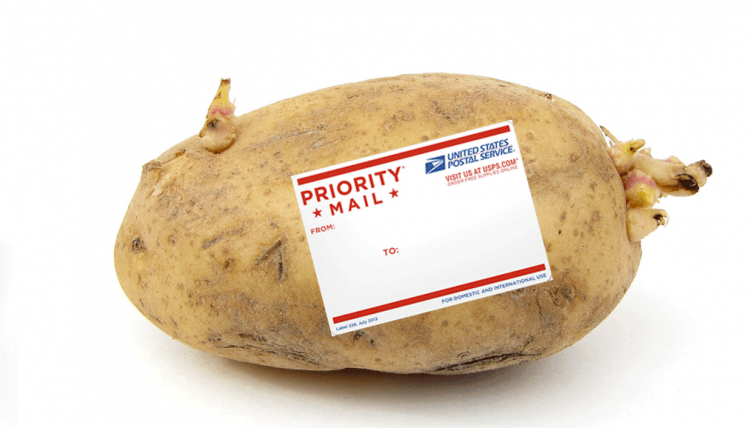 Can You Ship A Potato Without Packaging?!