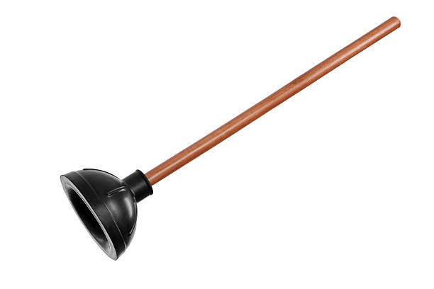 Commercial wholesale plungers WI