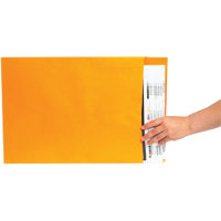 Jumbo Envelopes