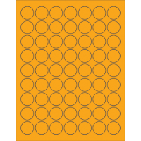 Fluorescent Circle