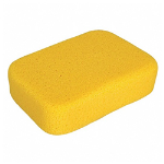 Sponges and Squeegees