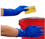 Latex Gloves Latex Gloves